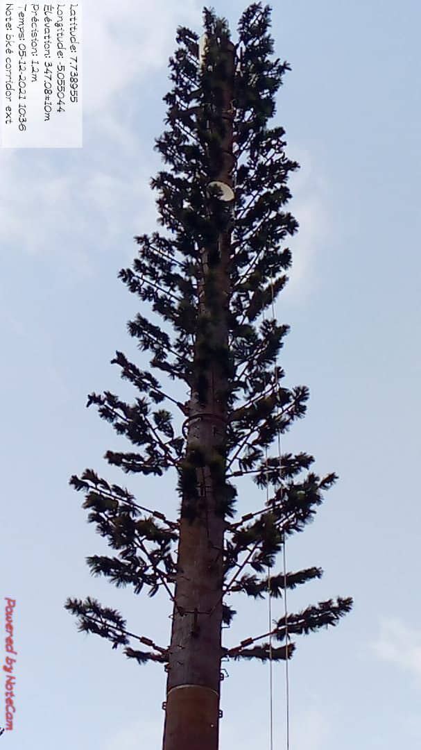 Pylône télécom camouflé en arbre
